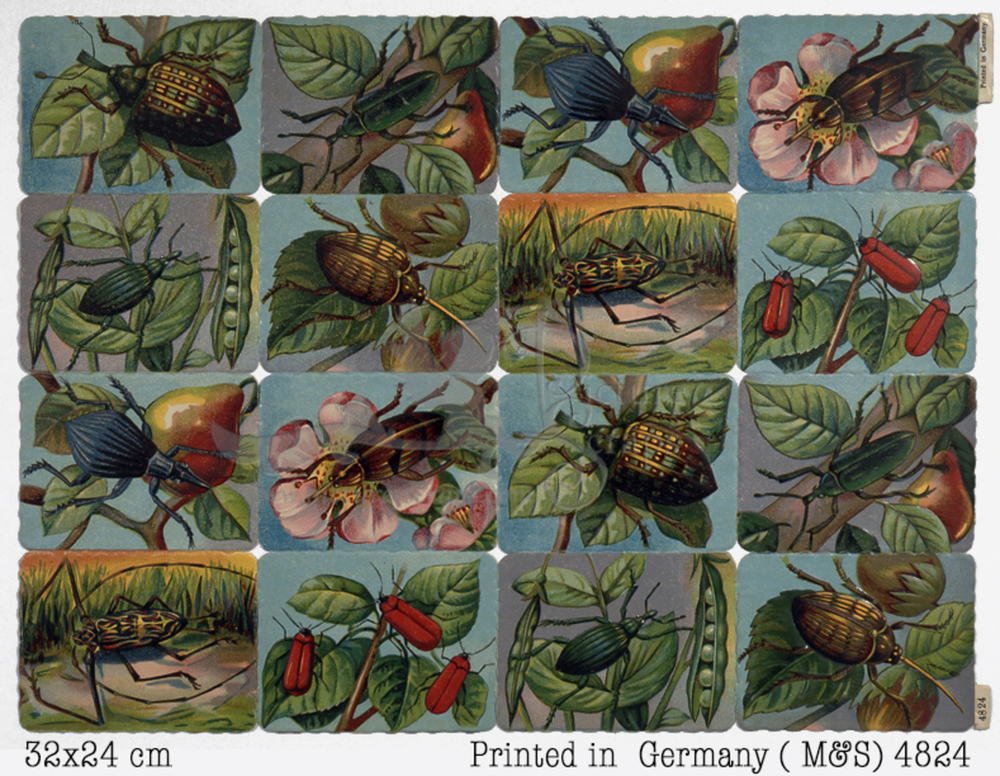 Printed in Germany 4824 beetles square educational scraps.jpg