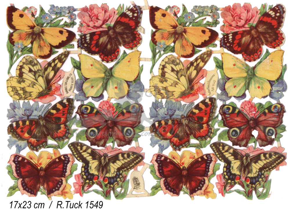 R.Tuck 1549 butterflies.jpg