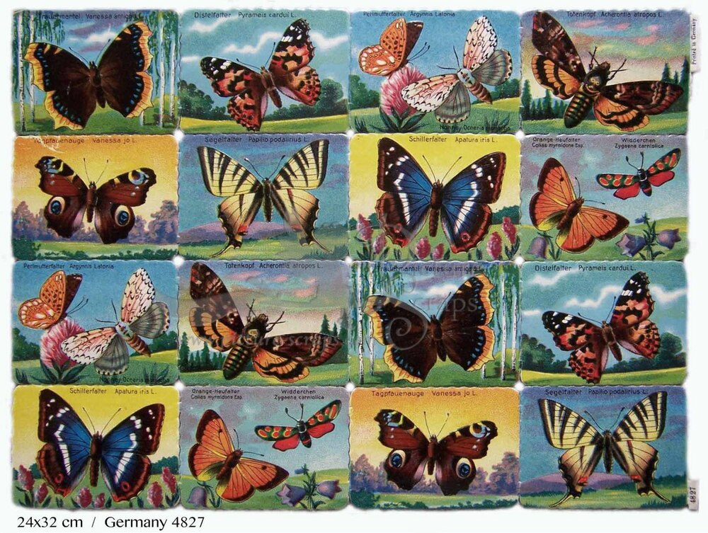 Printed in Germany 4827 butterflies square educational scraps.jpg