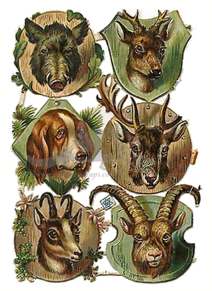 Priester & Eyck animal heads.jpg