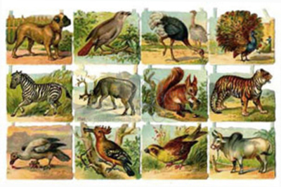 NL 1740 animals.jpg
