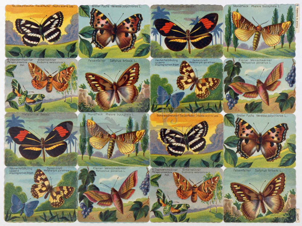 Printed in Germany 4828 butterflies square educational scraps.jpg