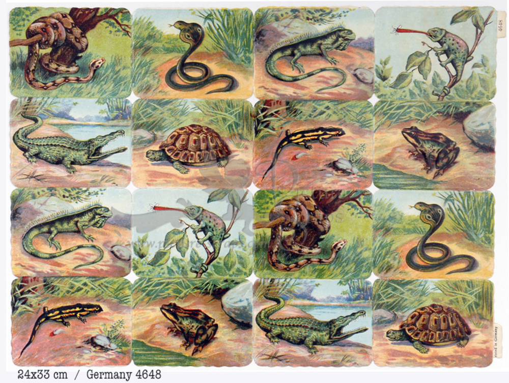 Printed in Germany 4648 reptiles square educational scraps.jpg