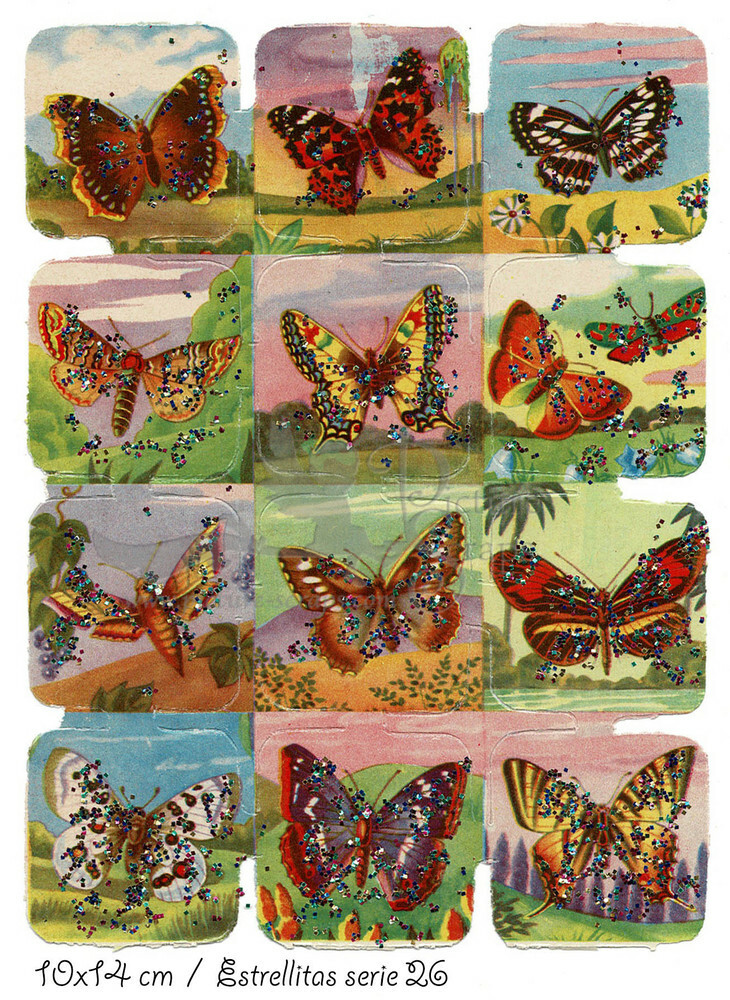 Estrellitas 26 butterflies.jpg