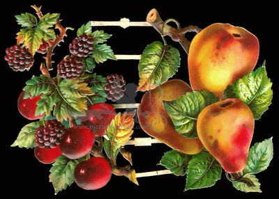 WH 1217 fruits.jpg