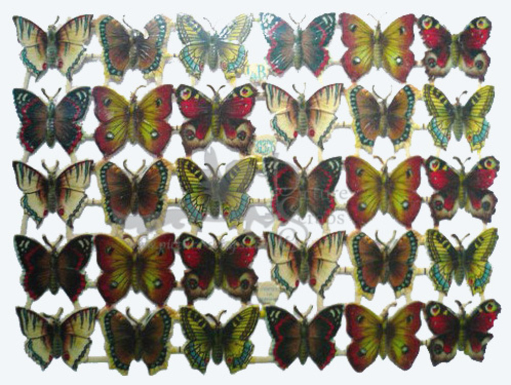 L&B 31326 butterflies.jpg