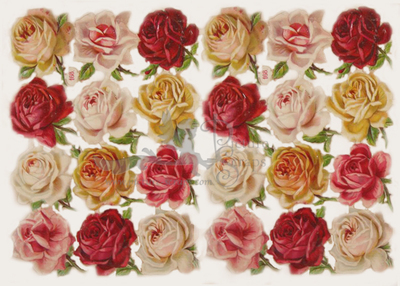 R.Tuck 168 roses.jpg