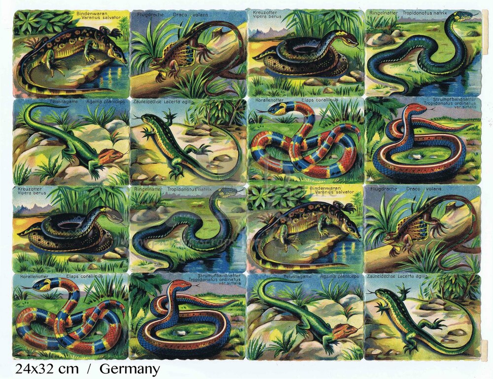 Printed in Germany 4647 snakes reptiles square educational scraps.jpg