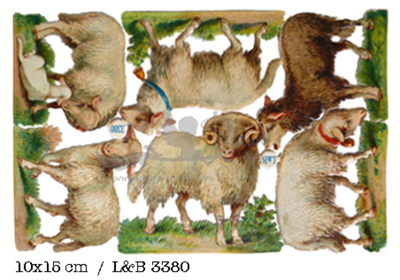 L&B 3380 sheep 11x15 xm.jpg