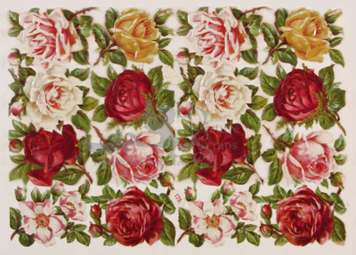 R.Tuck 179 roses.jpg
