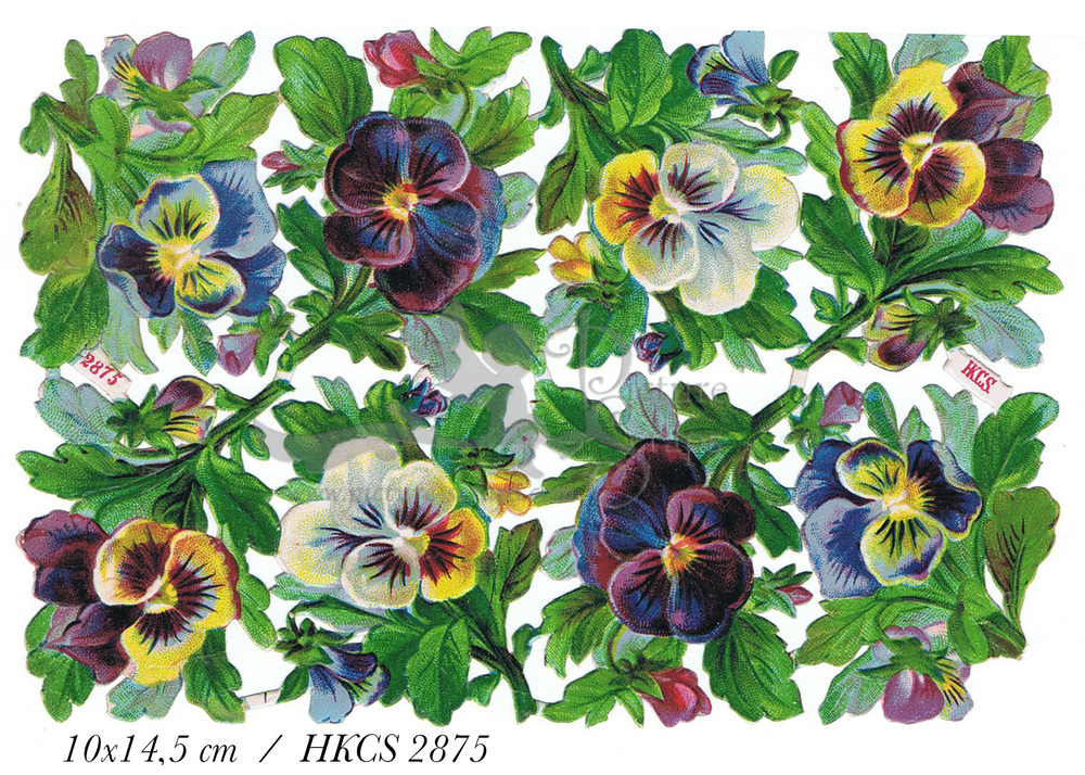 HKCS 2875 flowers.jpg