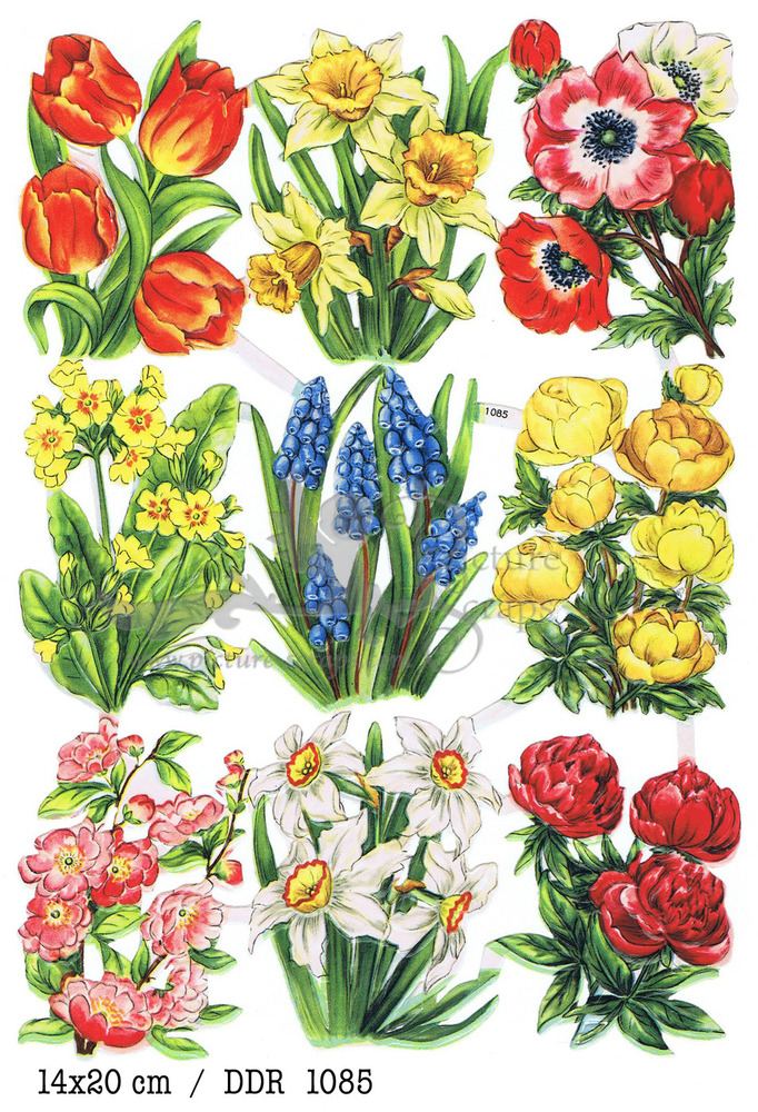 DDR 1085 flowers.jpg