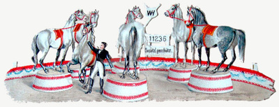 WH 11236 horses in circus.jpg
