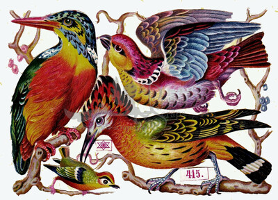 Priester & Eyck 415 large birds.jpg