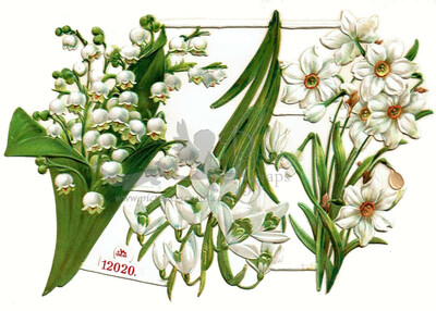 S&S 12020 Lily of the Valley.jpg