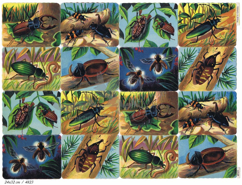 Printed in Germany 4823 beetles square educational scraps.jpg