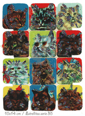 Estrellitas 35 cats.jpg