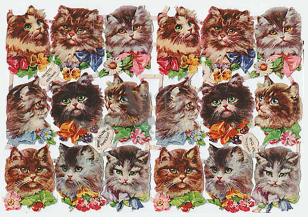 R.Tuck 1548 cats.jpg