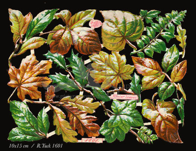 R.Tuck 1601 leafs.jpg