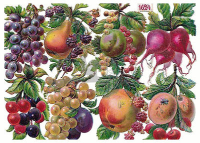 NL 1624 fruits.jpg
