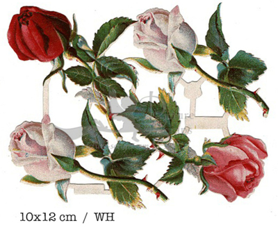 WH 4 roses 10x12.jpg