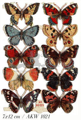 AKW 1021 butterflies.jpg