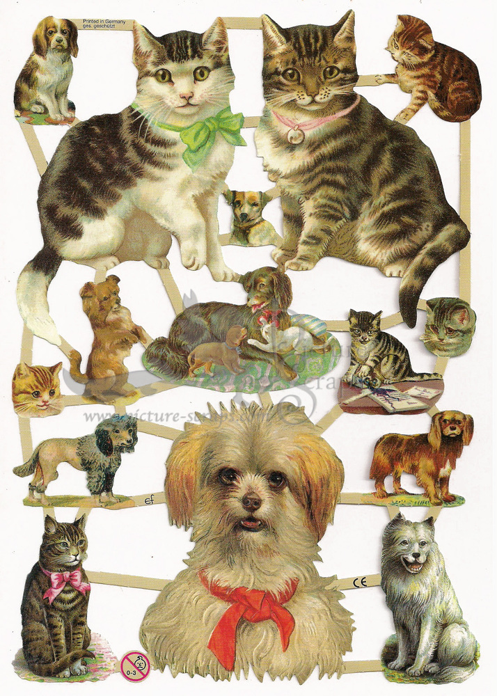 EF 7238 cats and dogs.jpg
