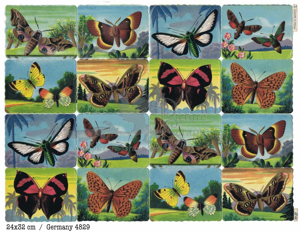 Printed in Germany 4829 butterflies square educational scraps.jpg