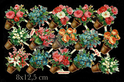 K&B 2091 flowers in pots.jpg