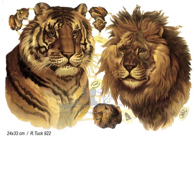 R.Tuck 922 tigre and lion.jpg