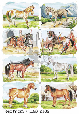 EAS 3189 horses.jpg