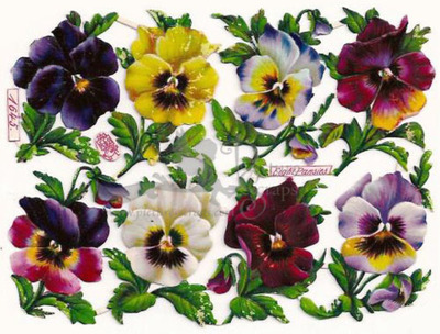 R.Tuck 1645 violets.jpg