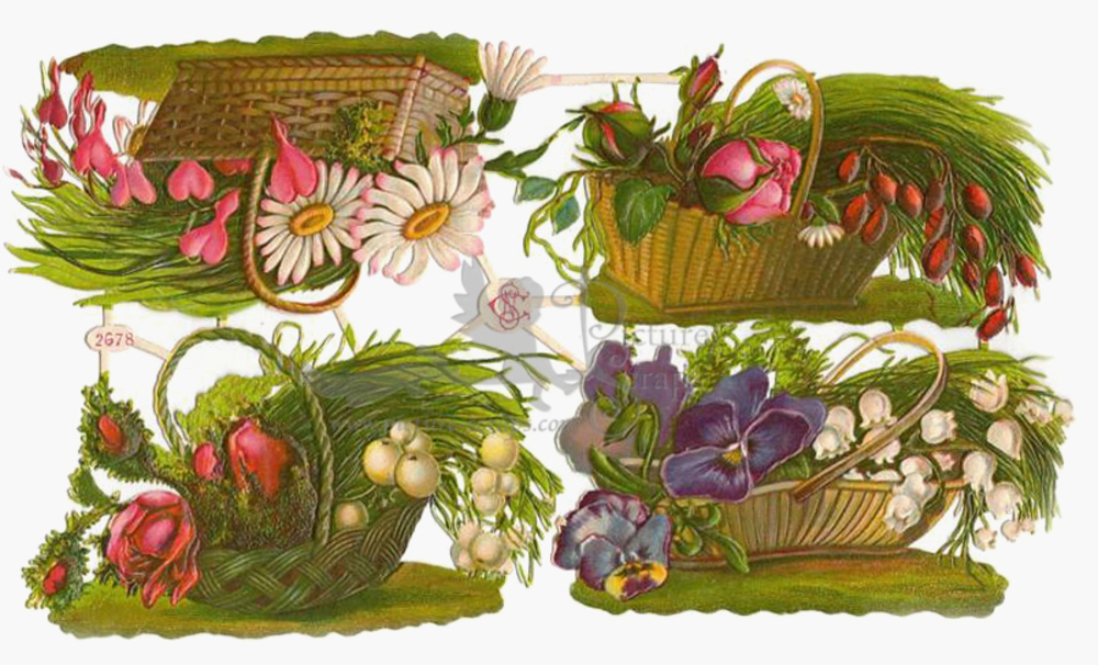 Schauer C.N. 2678 flowerws in baskets.jpg