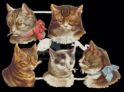 R.Tuck 211 cats.jpg