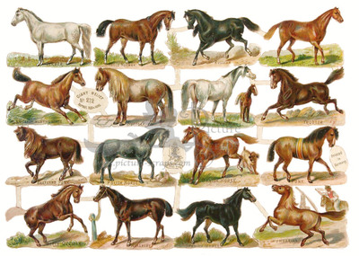 R.Tuck 212 horses.jpg