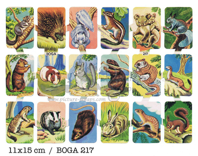 BOGA 217 small animals.jpg