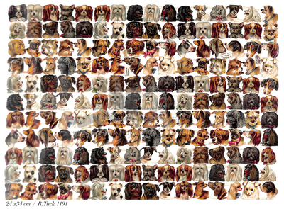 R.Tuck 1191 dog heads.jpg