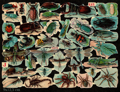 K&B 2579 Letter J insects.jpg