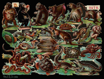K&B 2474 Letter D monkeys.jpg