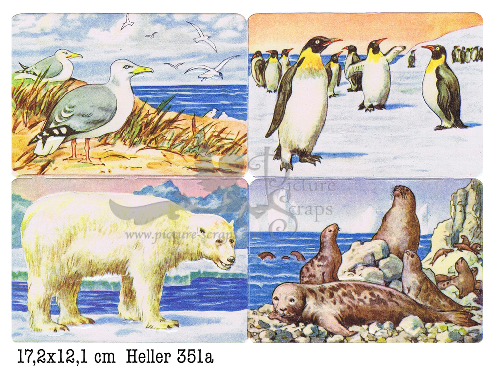 Heller 351 a land animals living at sea square educational scraps.jpg