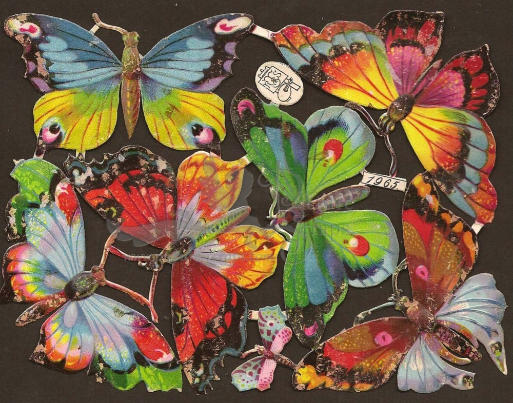 R.Tuck 1965 butterflies.jpg