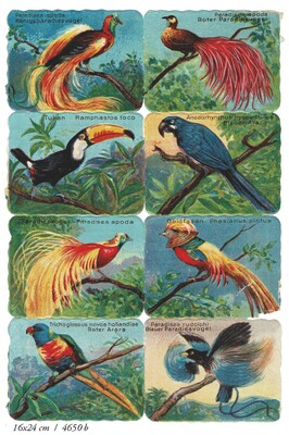Printed in Germany 4650 b ornamental birds square educational scraps.JPG