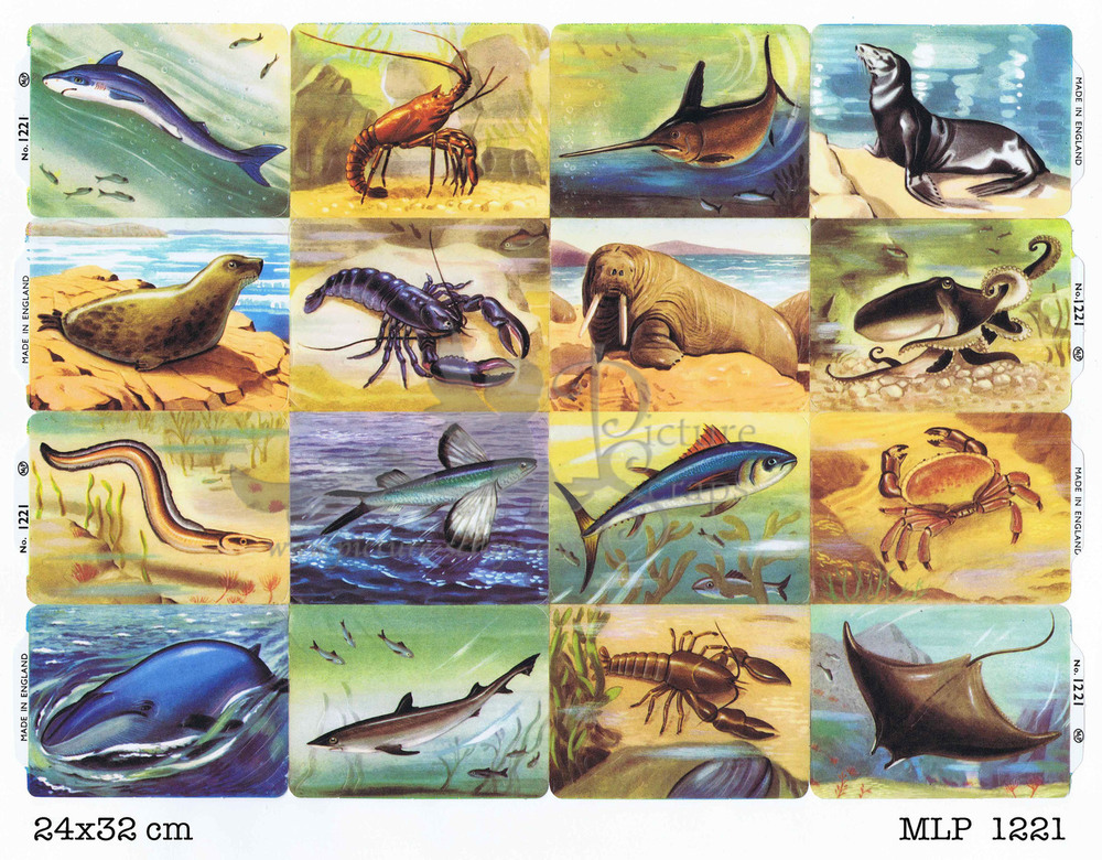 MLP 1221 full sheet sea animals.jpg