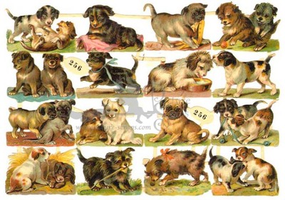 R.Tuck 256 puppies.jpg