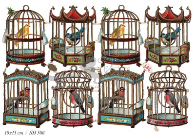 SH 586 birds in cages.jpg