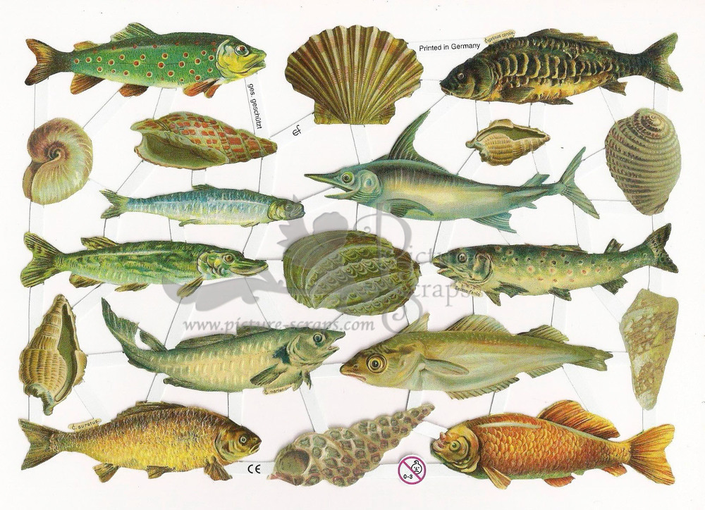 EF 7259 Sea Shells & Fish.jpg