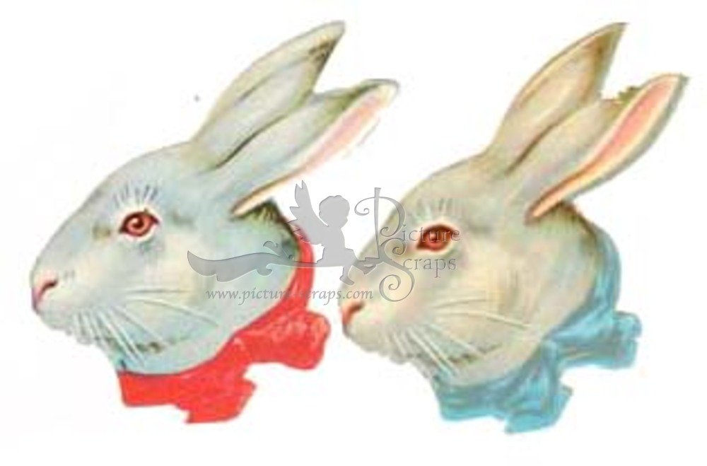 Heller 540 rabbits.jpg