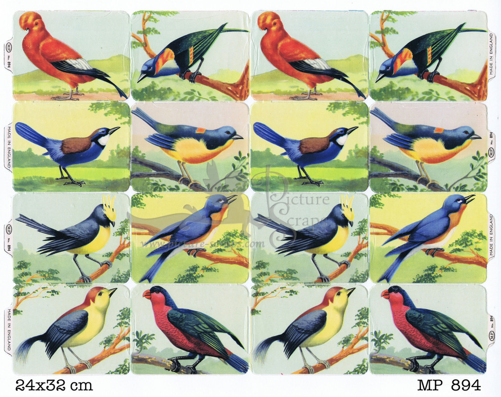 MP 894 full sheet birds.jpg