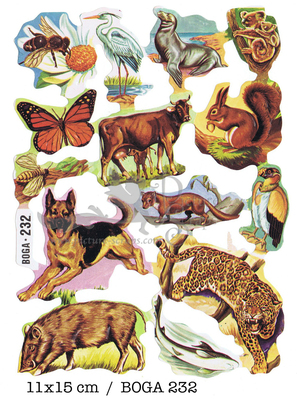 BOGA 232 animals.jpg
