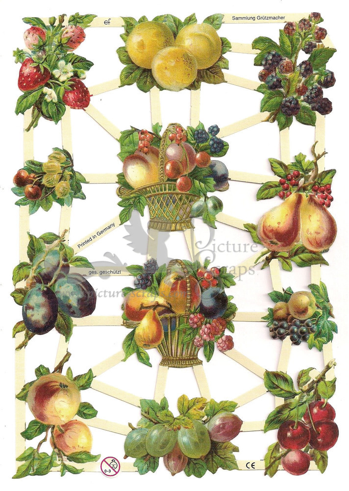 EF 7261 Fruit Cherries, Pears.jpg